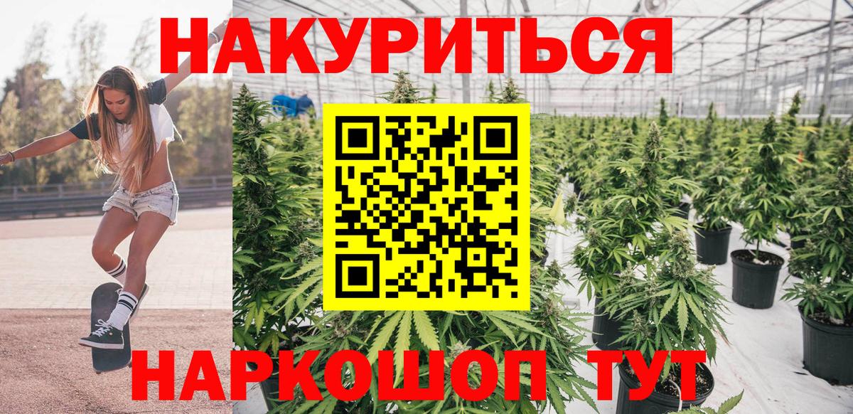 Шишки марихуана OG Kush Дмитров